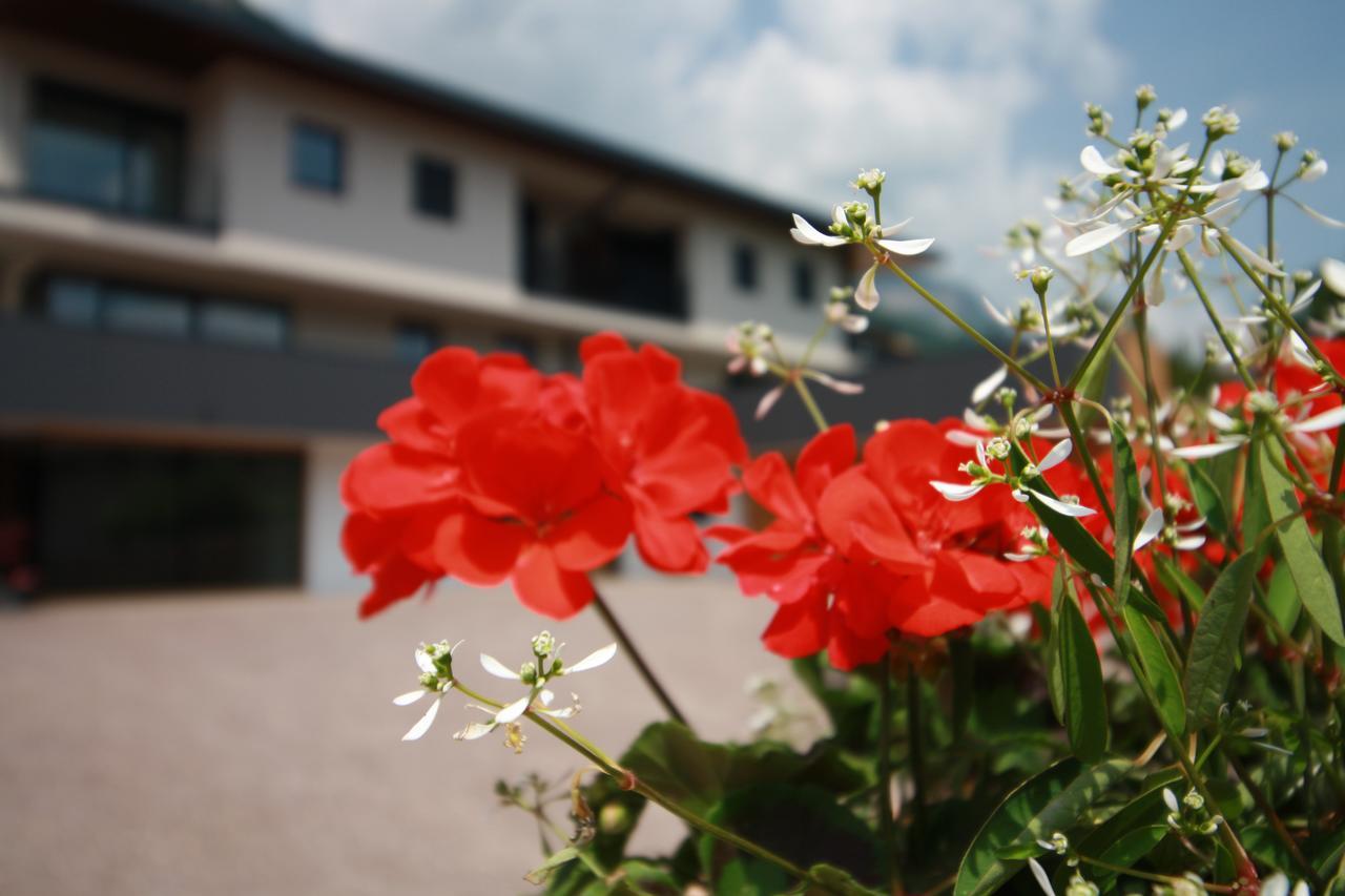 Tholr - Ferienwohnungen - Tramin Tramin an der Weinstraße Exterior foto